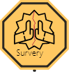 surveys