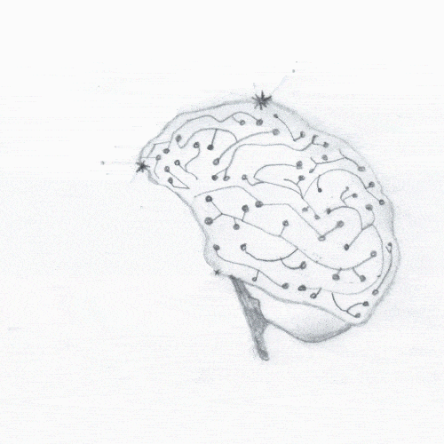 target audience with healthcare marketing