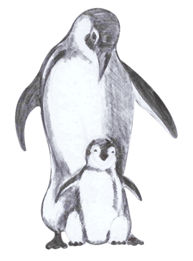 available-to-assist-you