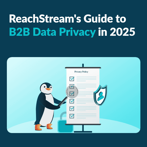 B2B Data Privacy insights by ReachStream for 2025 with security and compliance visuals