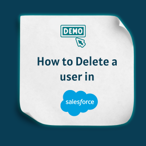 How to Delete a user in Salesforce Feature How to Delete a user in Salesforce-Feature