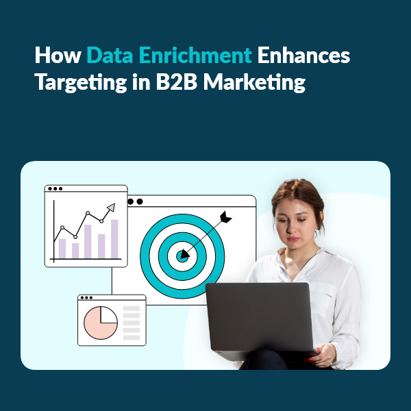 Data Enrichment The Secret to High Precision B2B Marketing Unlock Better B2B Targeting with Advanced Data Enrichment