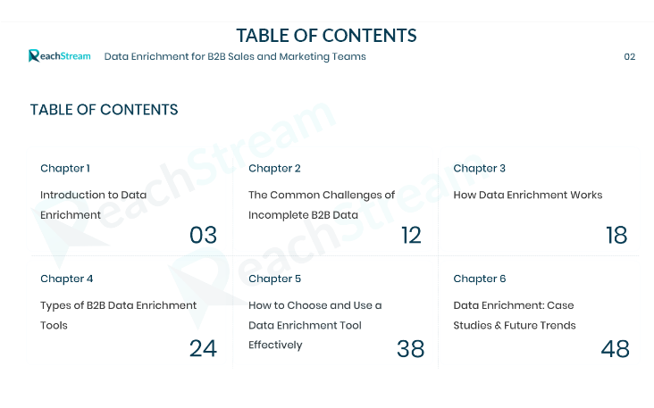 Sneak Peek page showing ReachStream data enrichment eBook table of contents