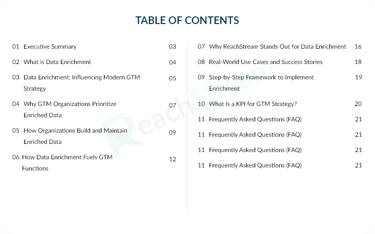 Table of contents listing sections of the data enrichment for GTM whitepaper