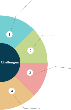 Challenges faced by Downtime PACS