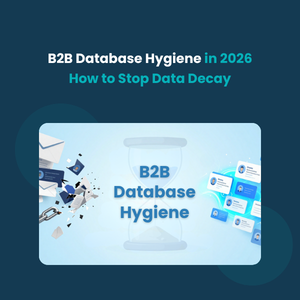 B2B Database Hygiene B2B Database Hygiene