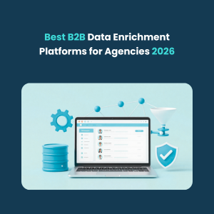 Data Enrichment Platforms for Agencies 1